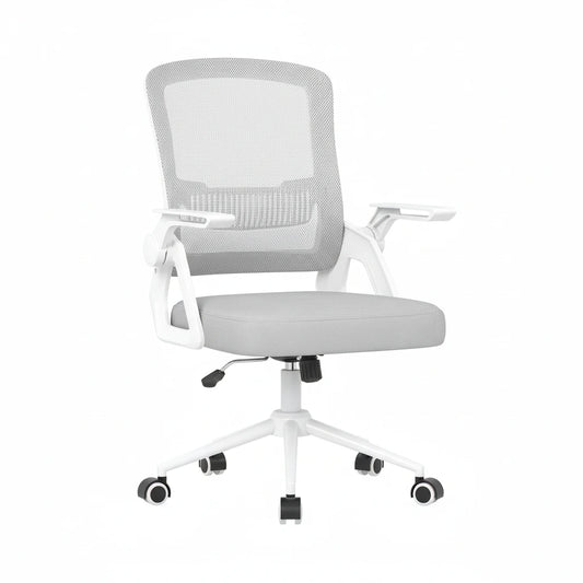 Office Chair Ergonomic with Cushion Lumbar Support