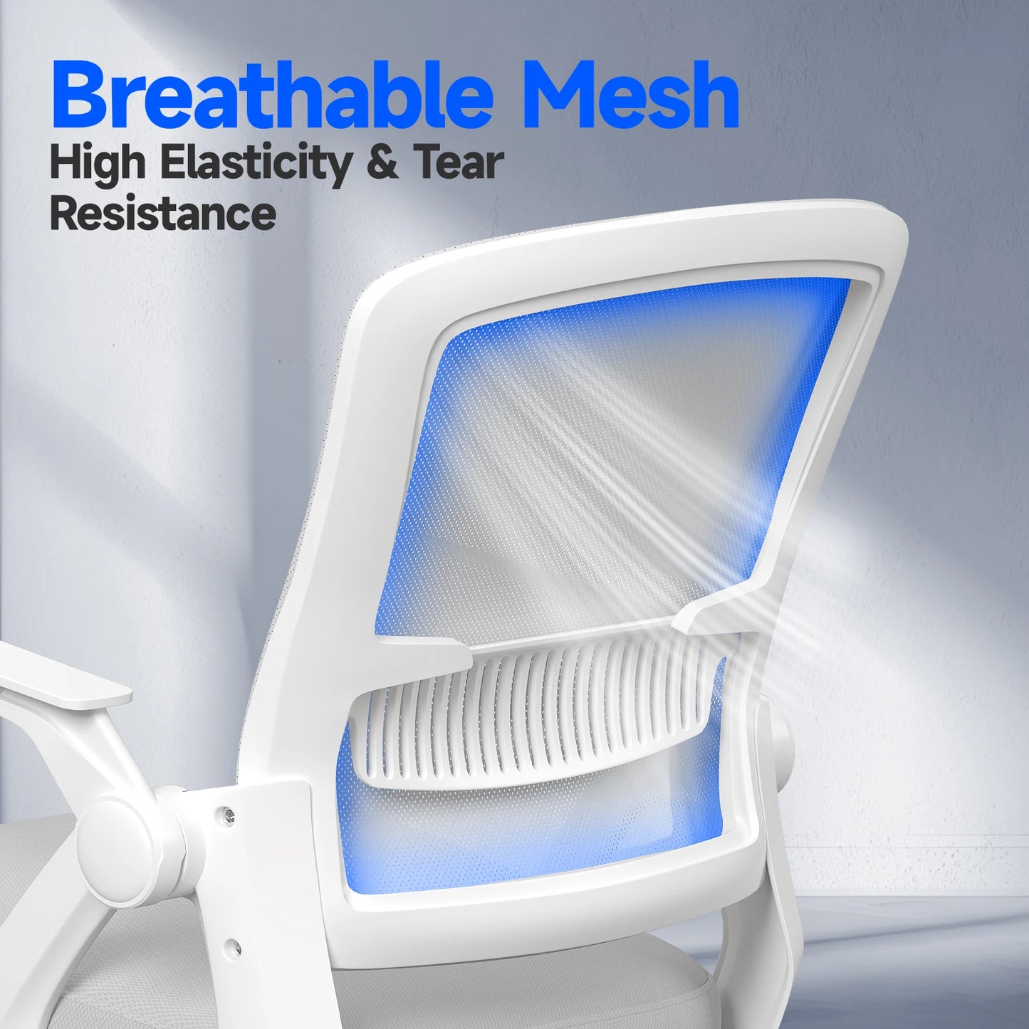 Office Chair Ergonomic with Cushion Lumbar Support